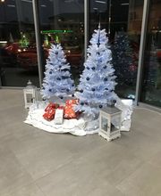 Garage du Nouveau Salon SA Bild 14