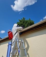 Tous Nuisibles Lorraine image 9