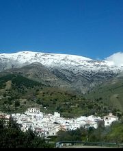 Sedella vinos SL imagen 5