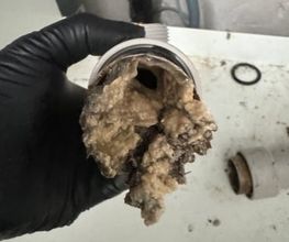 Ablauf-Reinigungs-Dienst Brodbeck GmbH Bild 1