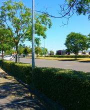ULV creation de jardins Services image 17