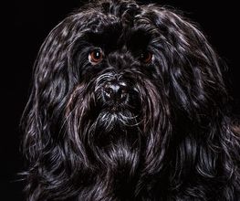Fotostudio Klein Ute Bild 5