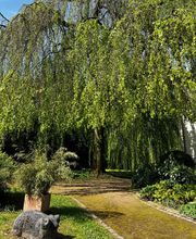 Neue Wege Hypnose-Therapie-Entspannung Bild 6