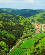 Pension Steinbergsblick Bild 10