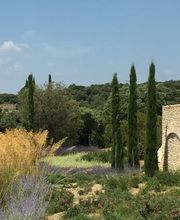 Pascal Olivier Architecte paysagiste conseils Bild 2