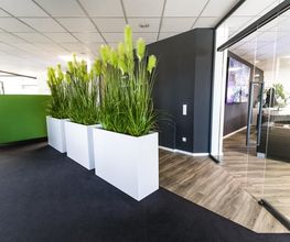 VIEWENTO GmbH Bild 3