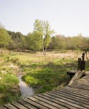 Hotel am Waldbad Bild 3