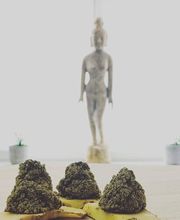 Naturheilpraxis Schaefer Bild 6