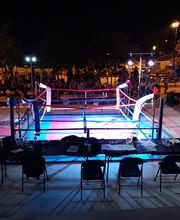 AC Animation Sonorisation image 10