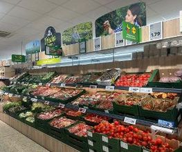 Lidl Bild 5