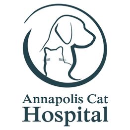 Annapolis Cat Hospital