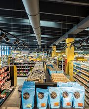 Arcaplanet immagine 4