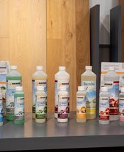 Bembé Parkett Bild 3