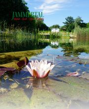 Jammertal Resort Bild 6