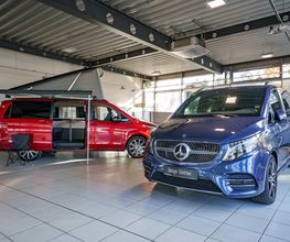 STERNAUTO Bild 6