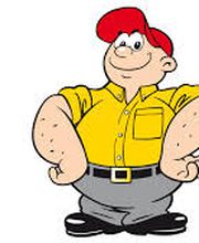 Hasis-Allroundservice Bild 1