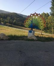 Calautti Jérôme image 3