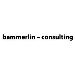 bammerlin - consulting logo