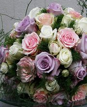 Götschi Hanspeter Bild 9