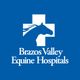 Brazos Valley Equine Hospitals