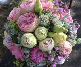 Blumen Vergissmeinnicht Bild 4