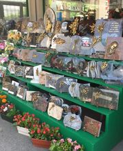 A. Pinto Fleurs Bild 6