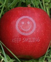 Rheinobst Genossenschaft Bild 2