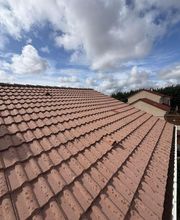 Gester Michael image 10