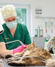 Tierarzt Gütersloh, Kleintierpraxis Isselhorst Bild 8