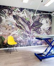 Kleintierpraxis 54 Bild 1