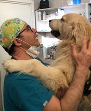 Centro Veterinario Maccauro immagine 4