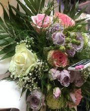 CAPUCINE ET CIE image 1