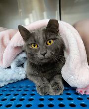 Petsense by Tractor Supply image 1