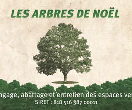 Les Arbres De Noël image 2