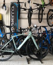 Gallery Professionale