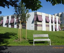 Rhyner Baumanagement AG Bild 3