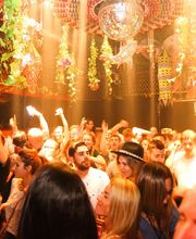 Do Not Sit On The Furniture image 1