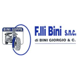 F.lli Bini logo