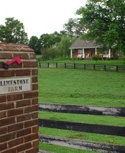 Limestone Properties, Inc. image 1