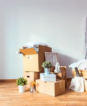 Die Packprofis Bild 1