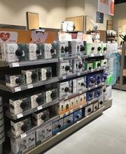 Orchestra ALBI - LESCURE D'ALBIGEOIS image 6