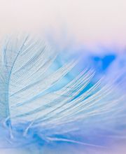 Landry HOLLEY - Kinesiologue - CAEN image 9