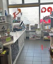 Qua la Zampa di Alessia Milani Termini Bild 3