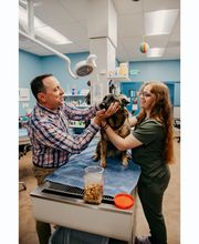 Stevenson Village Veterinary Hospital image 11