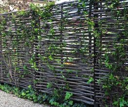 AB JARDIN SARL Bild 5