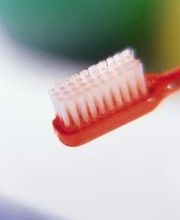 Weindler Alois Dr. Bild 1