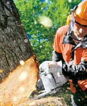 Verde Gartenbau Meisterbetrieb Bild 9