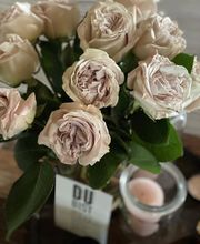 Blumen La Violetta Bild 5