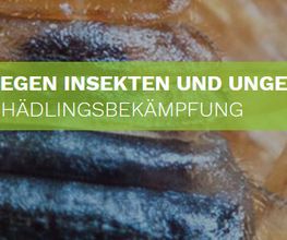 Schrader Schädlingsbekämpfung Bild 3