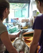 Stoléar Elodie image 4